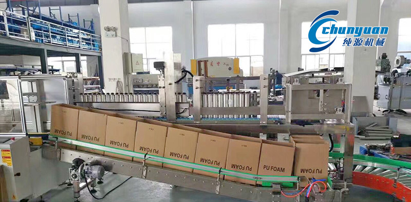 裝箱機，挑選裝箱機，純源裝箱機，純源機械